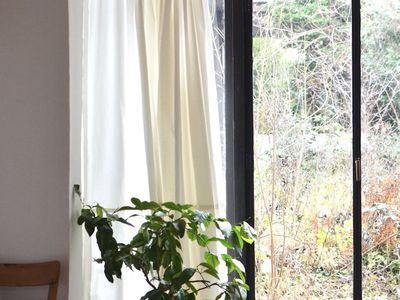 A small green plant on a wooden floor next to a window.